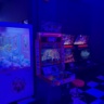 Removed 3 photos from the gallery · Photo 2